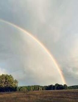 Ihr Traum vom Haus wird Wirklichkeit, mit der Unterstützung der ILB nachhaltig wohnen und leben. - Velten
