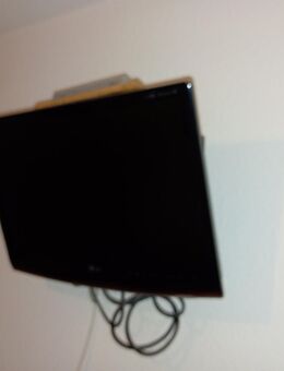 Wand LG Fullhd Fernseher mit Skymaster DX 7 Receiver - Sprockhövel