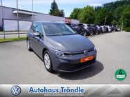 VW Golf, 2.0 TDI VIII Life, Jahr 2022 - Schopfheim