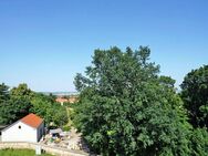 Blick über die Dächer Dresdens - Dresden