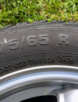 Vredestein WR 175/65 R15 (DOT 3424) auf Orig. Mini-Alu „5-Star Spooler“, 15 Zoll - Gelsenkirchen