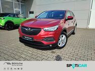 Opel Grandland X, 1.5 Edition, Jahr 2021 - Brandenburg (Havel)