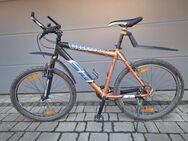 MTB Arrow Super Duty SD - Angelburg