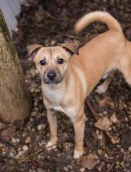 KALLE - Spiel und Abenteuer willkommen - Overath