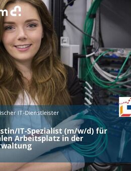 IT-Spezialistin/IT-Spezialist (m/w/d) für den Digitalen Arbeitsplatz in der Landesverwaltung - Potsdam