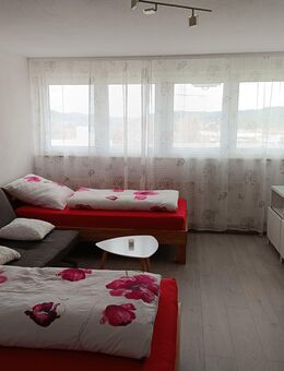 Apartment / Geschäftsreisende / Firmen / Ferien in Lahr / Europapark Rust 20 Min. - Lahr (Schwarzwald)