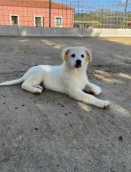 Qua möchte Sie begleiten - Neuss