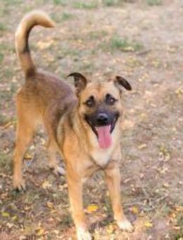 MIRO - mittendrin ist es am besten - Overath