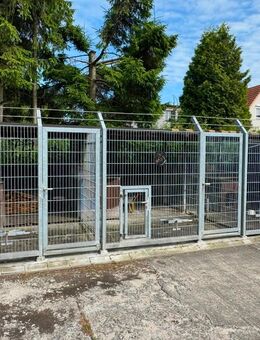 Hundezwinger zwinger Boxen Zucht Züchter - Rostock