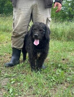 Liam sucht seine Familie - Nordwalde