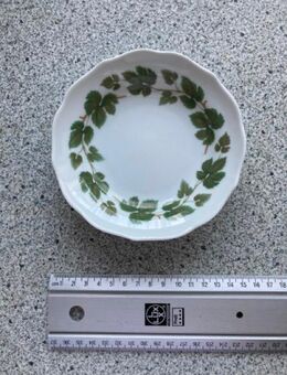 Hutschenreuther Untertasse original Weinlaub 1. Wahl - Langen (Hessen)