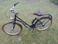 Triumph Citybike Alu Style, 7 Gänge, 26 ", Shimano, Gepäckträgertasche, Schloss - Berlin Charlottenburg-Wilmersdorf
