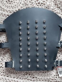 2 Stück Armschienen Leder mit Stacheln neuwertig - Kiel Pries