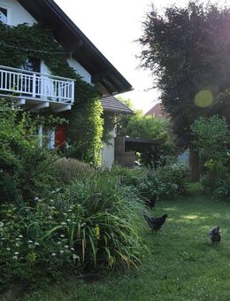 Wohnhaus mit traumhaft eingewachsenem Garten und altem Baumbestand in Marktoberdorf - Marktoberdorf