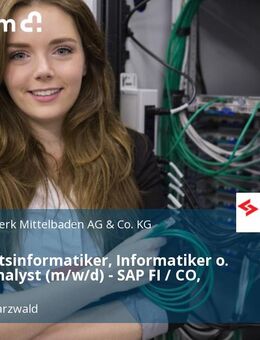 Wirtschaftsinformatiker, Informatiker o. ä. als IT Analyst (m/w/d) - SAP FI / CO, SAP HR - Lahr (Schwarzwald)