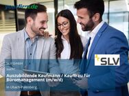 Auszubildende Kaufmann / Kauffrau für Büromanagement (m/w/d) - Übach-Palenberg