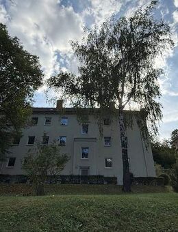 2,5 Zimmer Wohnung im Westviertel von Jena - Jena