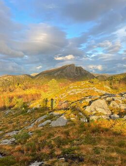 Eine Frau aus Hamburg und Umgebung gesucht - Hamburg