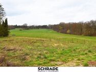 Landsitz mit 8,4 ha Acker, Wald und Wiese - Dähre