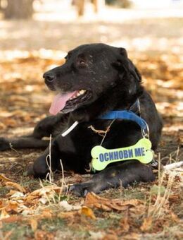 Vega - wer zählt auf innere Werte? - Berlin