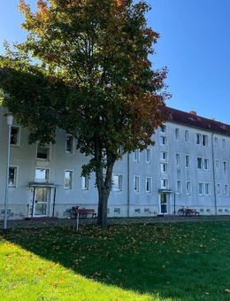 Helle, freundliche 2-Raumwohnung in Wittenburg - Wittenburg