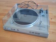 Plattenspieler Ulm Dusl CS 627 G Viny Schallplatten l Spieler - Flensburg