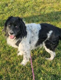 CRNI - nett, neugierig und aktiv - Overath