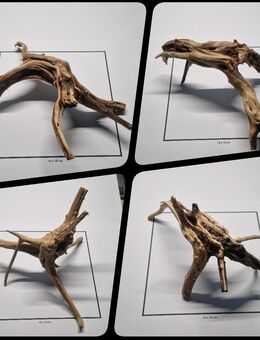 Drift-Wood / Deko-Wurzel / Aquarien-Holz / Aqua-Scaping - Wetzlar
