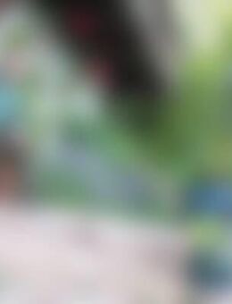 Ber*** - Eisenbach (Schwarzwald)