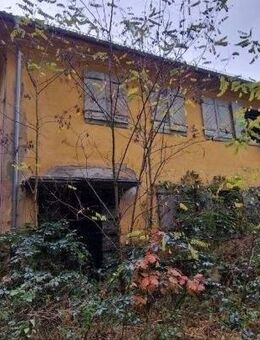 IMMOBERLIN.DE - Sehr großes Entwicklungspotenzial! Charaktervolle Immobilie in naturverbundener Lage - Buckautal