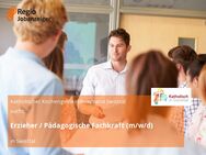 Erzieher / Pädagogische Fachkraft (m/w/d) - Swisttal