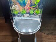 Aquariumkomplettset Tetra - Duisburg