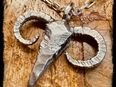 Riesiger handgeschmiedeter 925 Silber Stier Skull Anhänger Widder Schädel in 50672