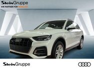 Audi Q5, 2.0 TFSI quattro 50 e basis S, Jahr 2021 - Gummersbach