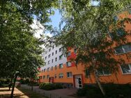 ERDGESCHOSSWOHNUNG mit BALKON - sofort einzugsbereit - Wittenberg (Lutherstadt)