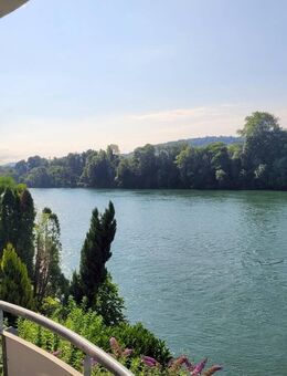 +++ AVERNET - RHEINUFERTRÄUME WERDEN WAHR +++ - Rheinfelden (Baden)