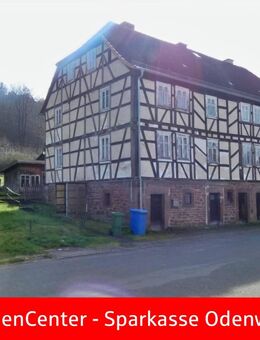 Sonderabschreibung Denkmalschutz! Sanierungsbedürtiges Kulturdenkmal in Michelstadt - Michelstadt
