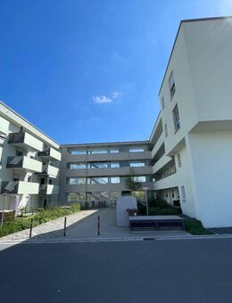Wohnung 3-ZimmerWhg I.OG rechts - Bamberg