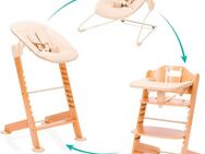 Fillikid Hochstuhl Pia Swing (Set, 3 St), inkl. Neugeborgenenaufsatz und Wippe