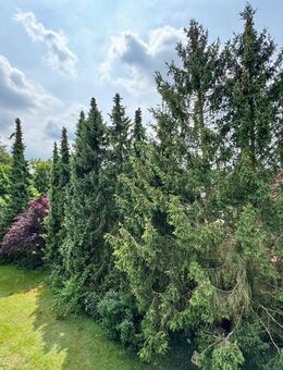 Klassische 3-Zimmer-Eigentumswohnung mit großem Balkon und Stellplatz zentrumsnah und ruhig in Großburgwedel - Burgwedel