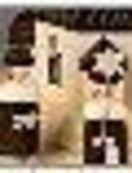 Albin Preissler Teelichthalter Seiffener Dorf mit Kurrende, Handwerkskunst aus dem Erzgebirge, weihnachtlicher Kerzenhalter aus Eschenholz