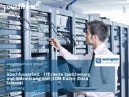 Abschlussarbeit - Effiziente Speicherung und Indexierung von JSON-Daten (Data Science) - Tettnang