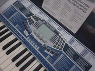 Keyboard mit Ständer höhenverstellbar und Sitzhocker - Barsbüttel
