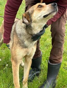 Fahej möchte viel erleben - Nordwalde