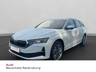 Skoda Octavia, Combi TOUR, Jahr 2022 - Ravensburg