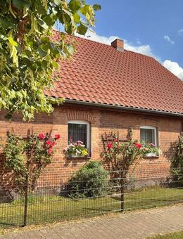 Top saniertes Bauernhaus mit Garagen und Nebengebäude auf großem Grst. mit Obstbäumen - Prötzel