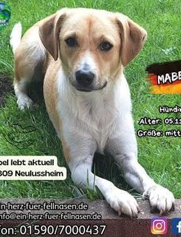 MABEL-möchte keine Angst mehr haben - Waakirchen