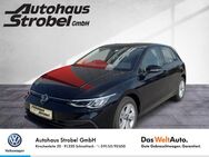 VW Golf, 1.0 TSI VIII Basis 3 Parkp Light, Jahr 2021 - Schnaittach