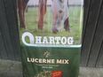 HARTOG LUCERNE-MIX in 48477
