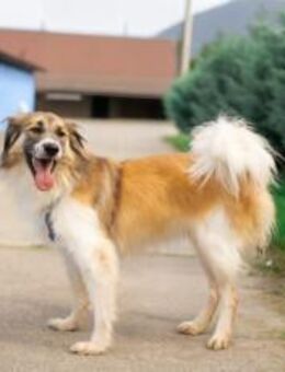 Freundliche und zugewandte Sun - München